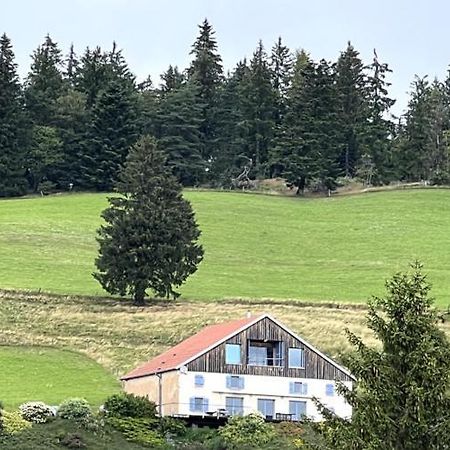 Maison D'Hotes Des Hauts De La Piquante Pierre Basse-sur-le-Rupt Buitenkant foto