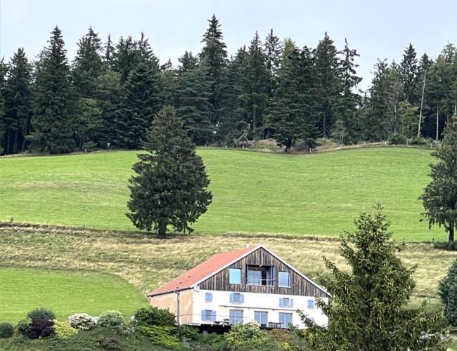 Maison D'Hotes Des Hauts De La Piquante Pierre Basse-sur-le-Rupt Buitenkant foto
